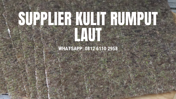 Supplier Kulit Rumput Laut di Medan Supplier Kulit Rumput Laut di Medan